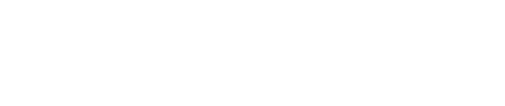 CROWDSTRIKE crowdtour